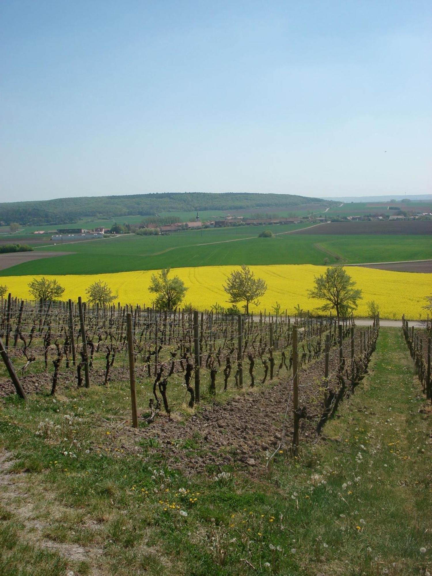 Landgasthof Zum Schwarzen Adler Markt Nordheim Esterno foto