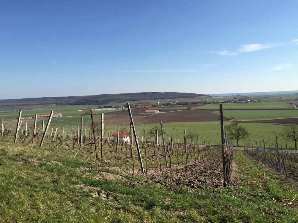 Landgasthof Zum Schwarzen Adler Markt Nordheim Esterno foto